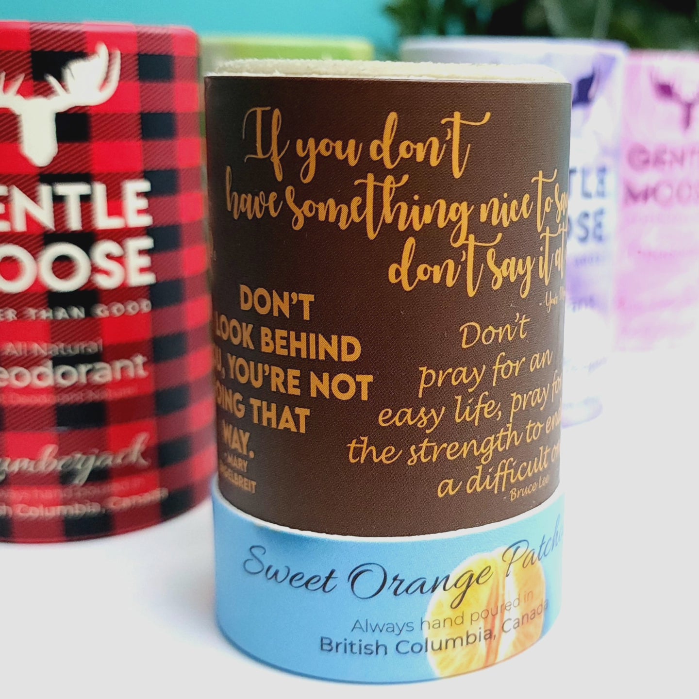 Gentle Moose Natural Skincare Aluminum and Baking Soda Free Deodorant Sweet Orange Patchouli