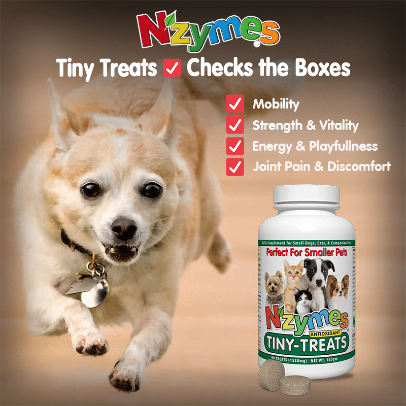 Nzymes Sprouted Granules 2lb