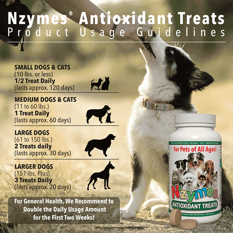 Nzymes Antioxidant Tiny Treats