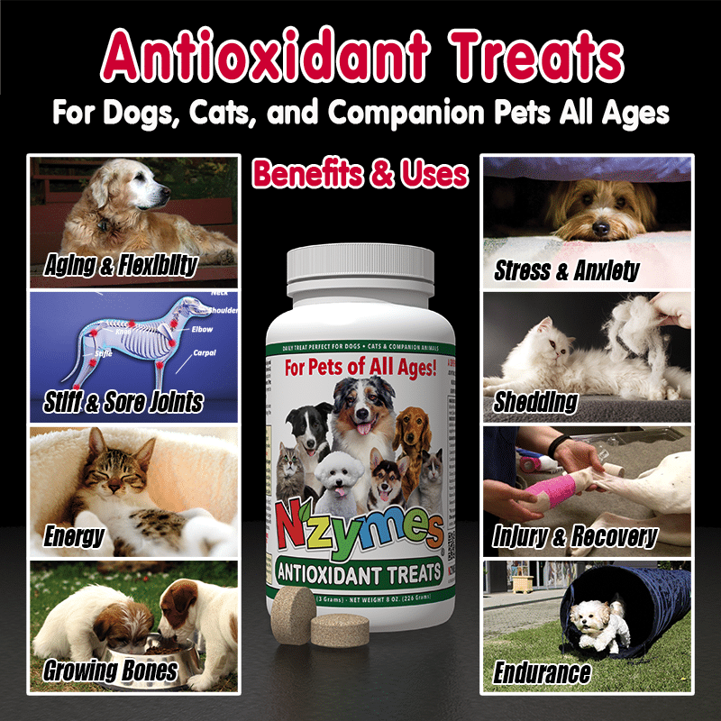 Nzymes Antioxidant Tiny Treats