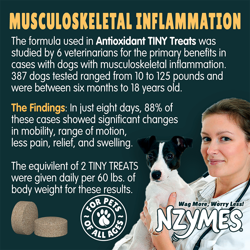 Nzymes Antioxidant Tiny Treats