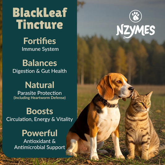 Nzymes BLACKLEAF