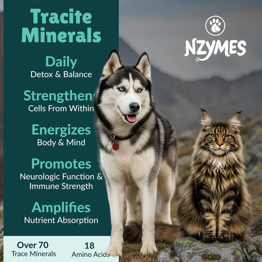 Nzymes Tracite-Minerals