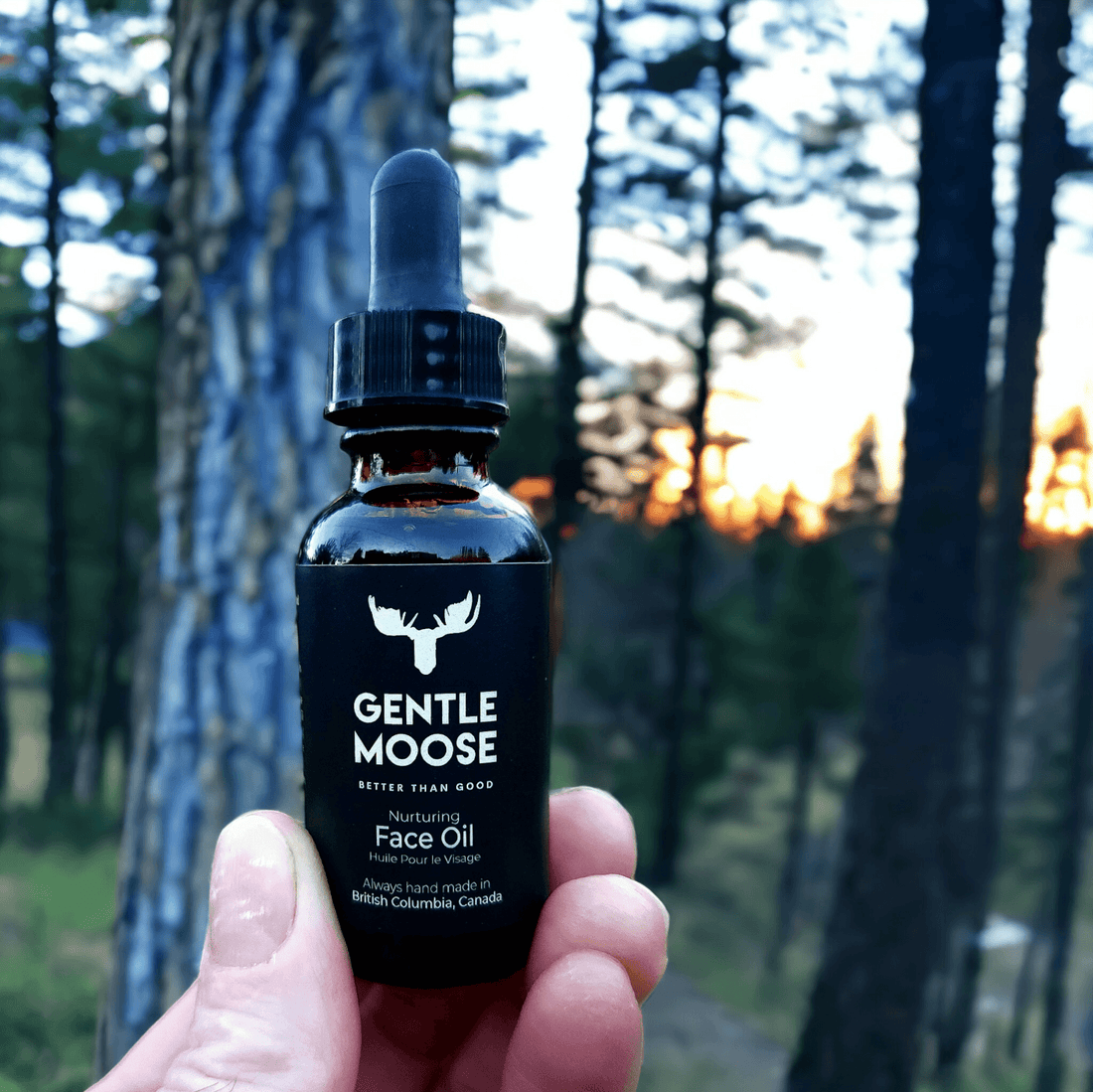 Embrace Radiance: Unveiling the Benefits of Gentle Moose Face Oil