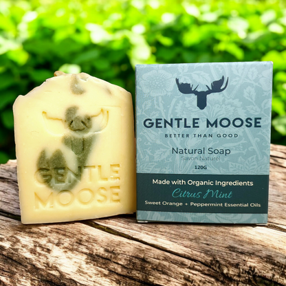 Citrus Mint Natural Soap