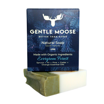 Evergreen Forest Natural Soap