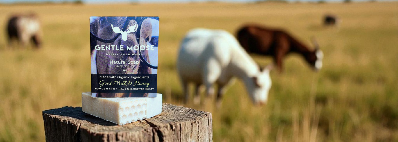 Gentle Moose Goat Milk and Honey Natural Soap made in Canada