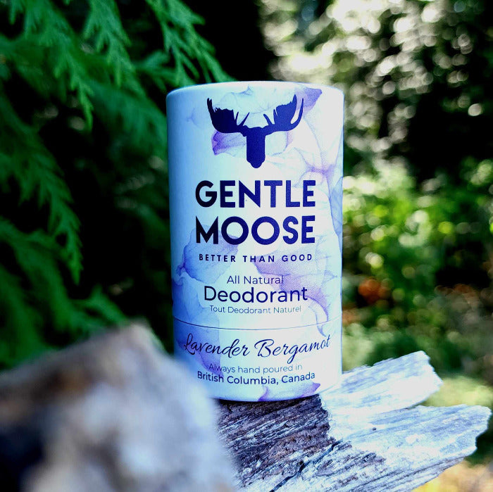 Gentle Moose Lavender Bergamot Natural Deodorant Mundy Park