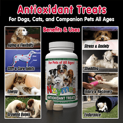 Nzymes Antioxidant Tiny Treats