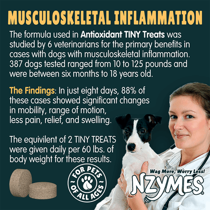 Nzymes Antioxidant Tiny Treats