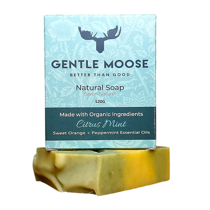 Citrus Mint Natural Soap